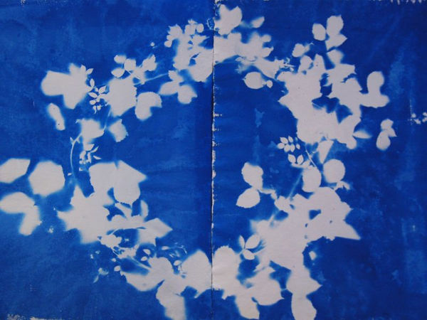 Out of place - copyright Matt Smith