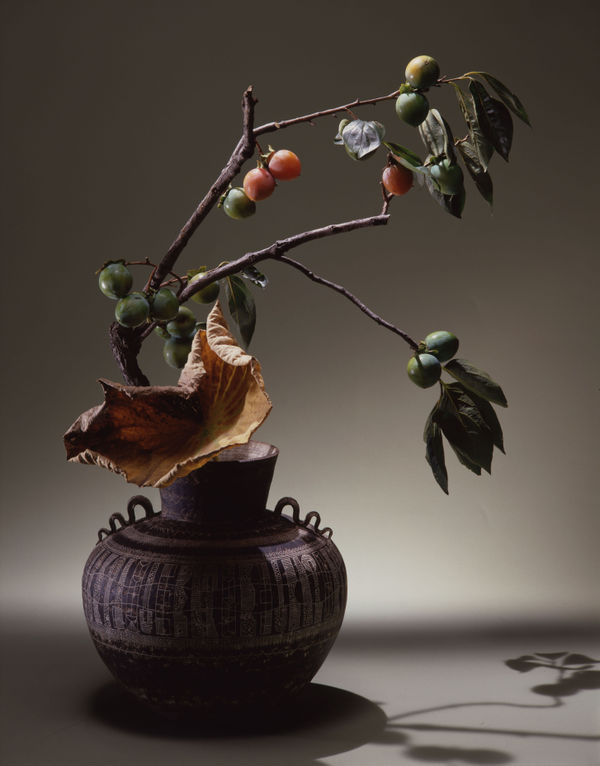 Ikebana image courtesy of Ikebana Sogetsu. 「撮影・小澤忠恭」「Photo credit: OZAWA Chukyo」