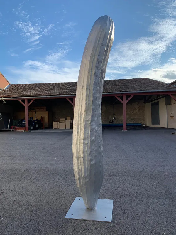 Эрвин Вурм | Erwin Wurm Cucumber, 2020