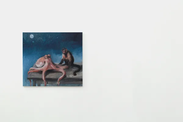 Glitch Prise De Vue 2026 Coutres Danysz Gallery 11