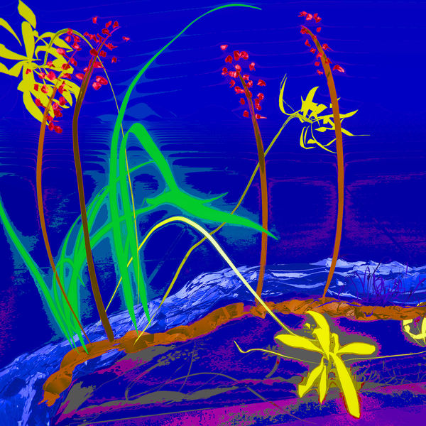 Tentative Arrangement