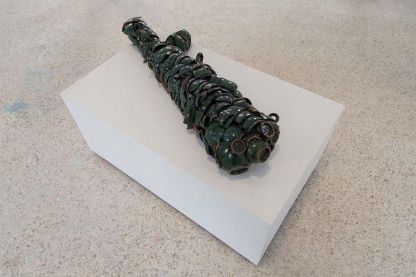 Installation View of The Dinosaur Lost her Bearings a group presentation of works.