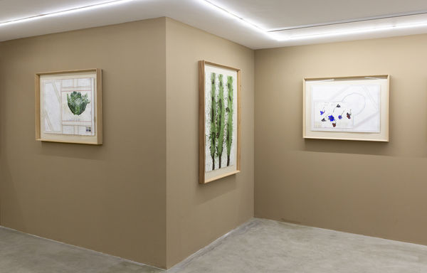 1400 2021 Fereydoun Ave Recent Works 2019 2021 Dastan S Basement Installation Views Lowres 09 Fereydoon Ave9