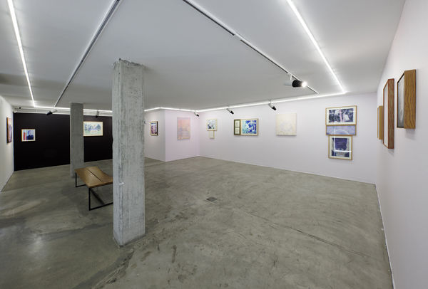 Installation view of Sugar in the Basement a solo exhibition of works by Sina Ghadaksaz.