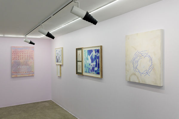 Installation view of Sugar in the Basement a solo exhibition of works by Sina Ghadaksaz.