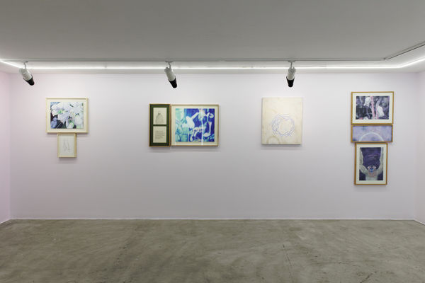 Installation view of Sugar in the Basement a solo exhibition of works by Sina Ghadaksaz.