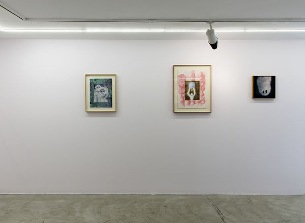 Installation view of Sugar in the Basement a solo exhibition of works by Sina Ghadaksaz.