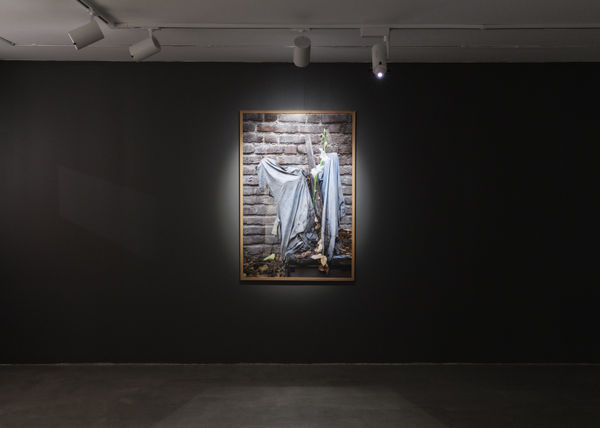 Installation View of Tulip, Solo Exhibition of Melika Shafahi, at Dastan's Basement.