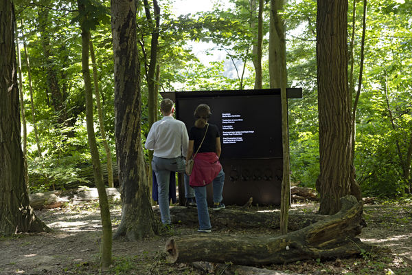 Installation view of "Unblocked Avatars" a video represented from Dastan Gallery by Arash Hanaei at Basel Social Club.