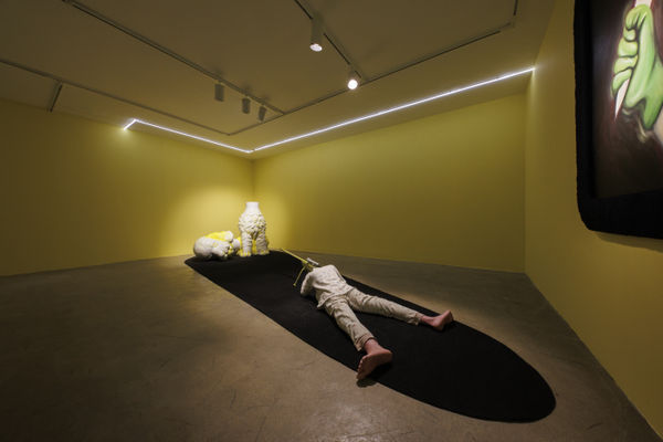 Installation View of Temptation of Green Gloves a solo exhibition of works by Rana Dehghan.