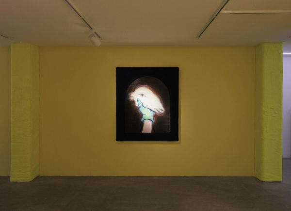 Installation View of Temptation of Green Gloves a solo exhibition of works by Rana Dehghan.