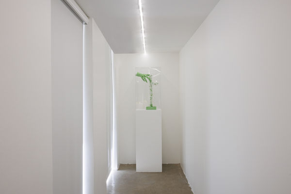Installation View of Temptation of Green Gloves a solo exhibition of works by Rana Dehghan.