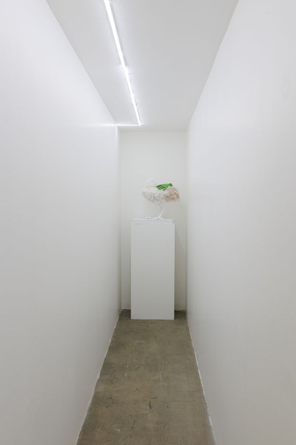 Installation View of Temptation of Green Gloves a solo exhibition of works by Rana Dehghan.
