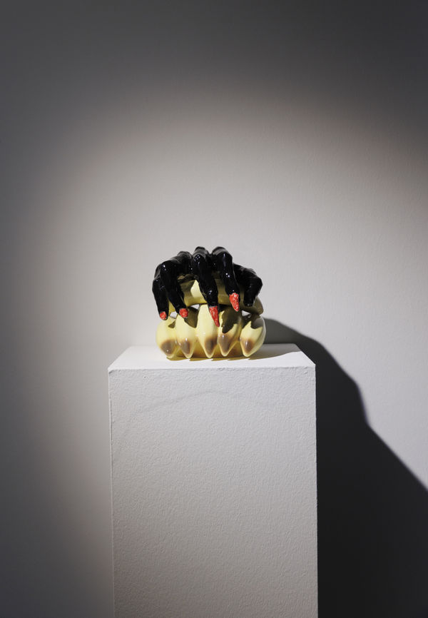 Installation View of Temptation of Green Gloves a solo exhibition of works by Rana Dehghan.