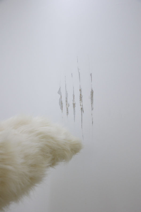 Installation View of Temptation of Green Gloves a solo exhibition of works by Rana Dehghan.