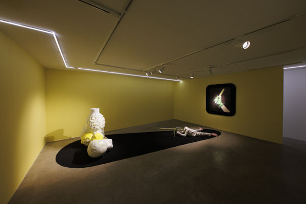 Installation View of Temptation of Green Gloves a solo exhibition of works by Rana Dehghan.