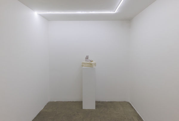 Installation View of Temptation of Green Gloves a solo exhibition of works by Rana Dehghan.