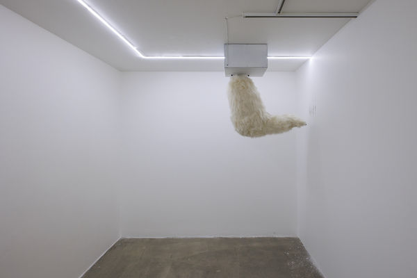 Installation View of Temptation of Green Gloves a solo exhibition of works by Rana Dehghan.