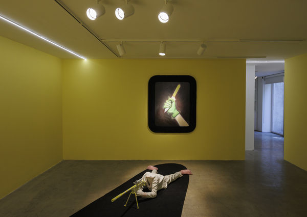 Installation View of Temptation of Green Gloves a solo exhibition of works by Rana Dehghan.