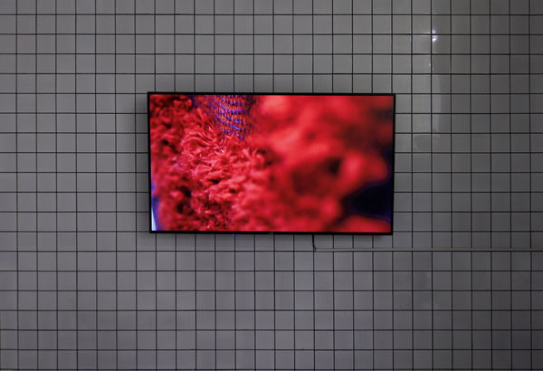 Installation view of The Tribal Weave Project a solo exhibition of works by Taher Assad Bakhtiari.