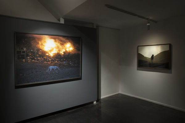 Installation View of Dogs a solo presentation of works by Matin Jameie.