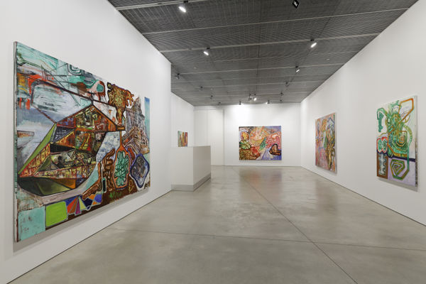 STEVE DIBENEDETTO Who Wants to Know?