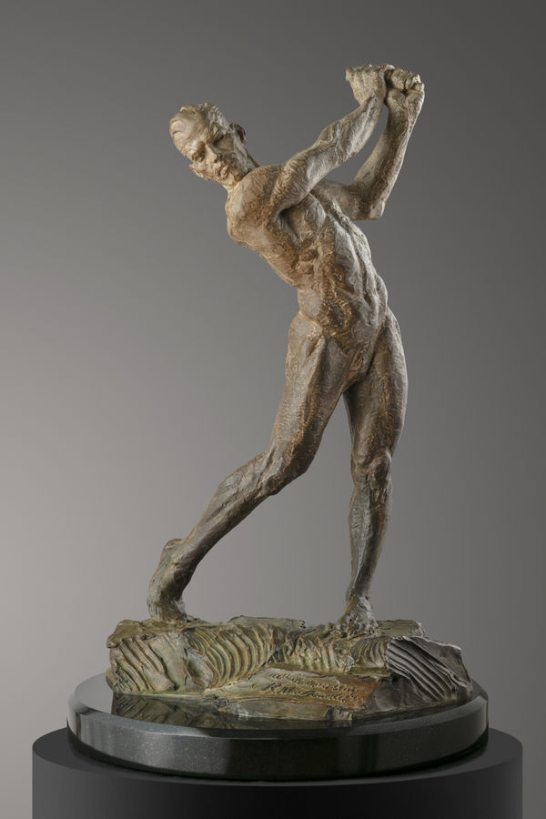 Anatomy of a Golfer V