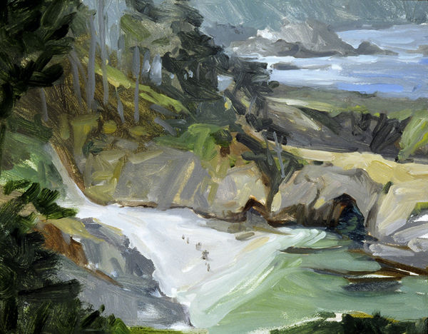 China Cove Pt. Lobos by Richard MacDonald