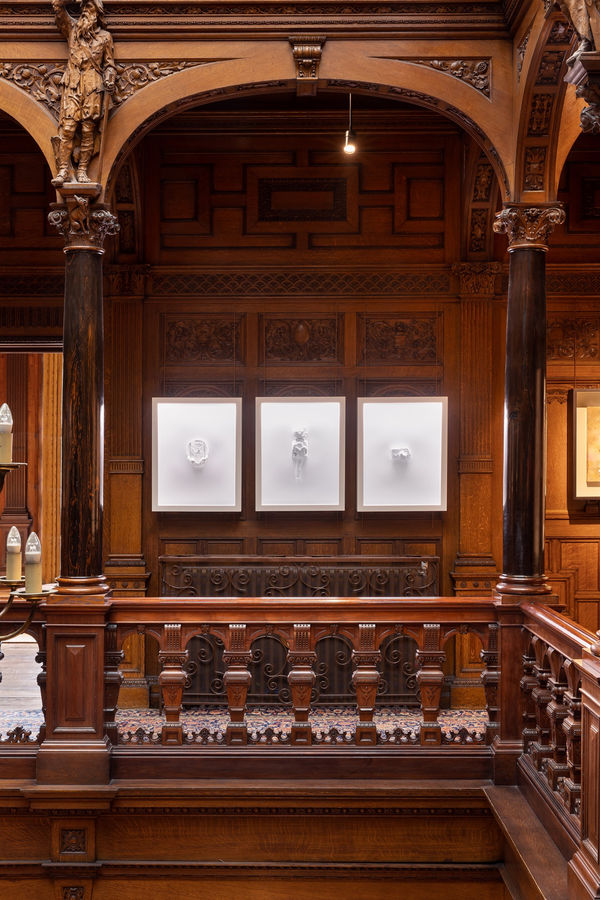 Dellasposa Eye Of The Collector Images Daniel Avery14