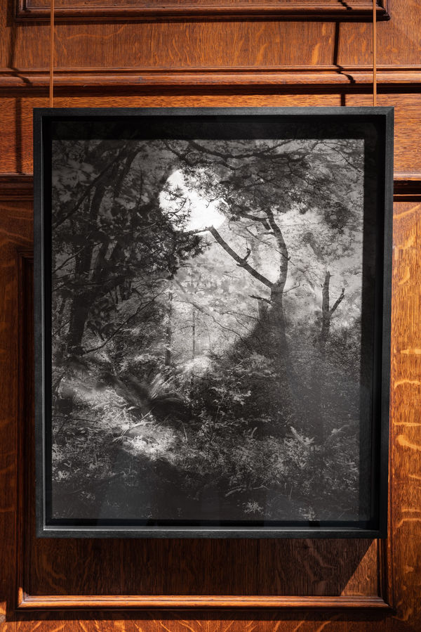 Dellasposa Eye Of The Collector Images Daniel Avery4