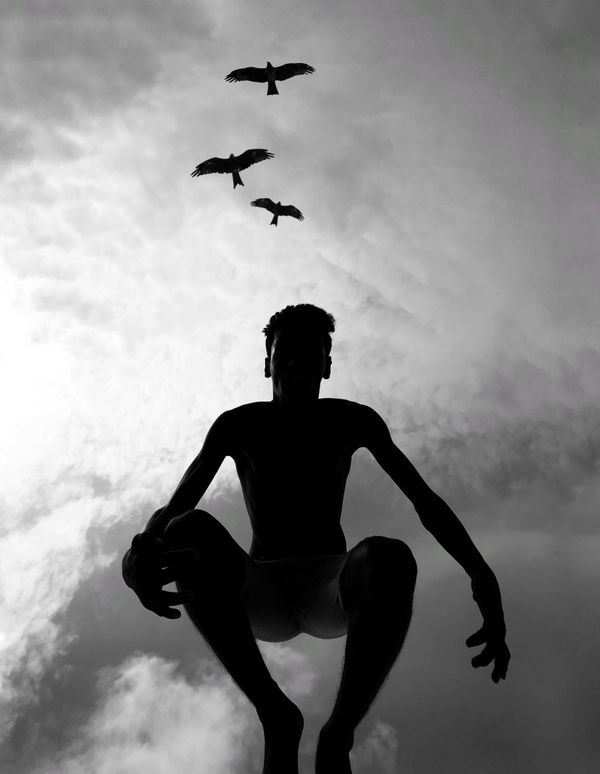 Boy Taking Off With The Birds