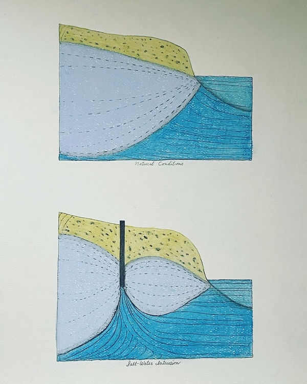 Salt Water Intrusion vs. Natural Conditions in Coastal Aquifer 2023, Pastel and Pencil on Watercolor Paper, 18 x 24"