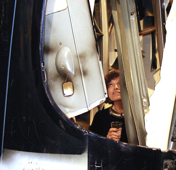 THINKING BIG: THE FINAL DECADE Dina in the 2000s