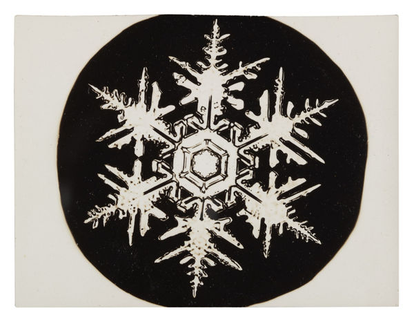 Winter Show At Habits Westbank, Jackson WY