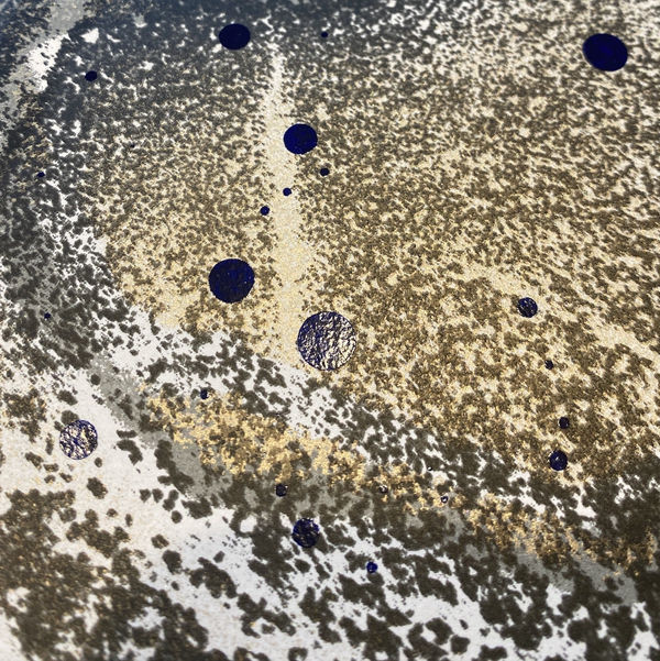 Mary Shanahan Durham Press Liquid Interference Screenprint Portfolio Edition