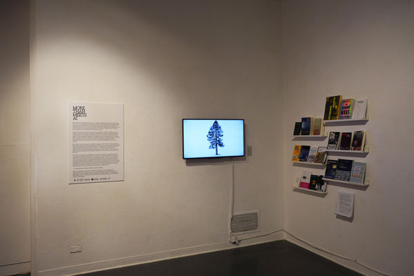 Eokane More Than Meets Ai Dsc02489