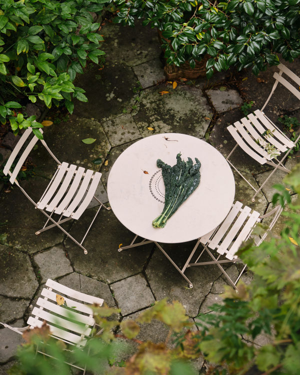 Cavelo Nero from Queens Park Farmers Market - after much research, they assure us this is the best in London