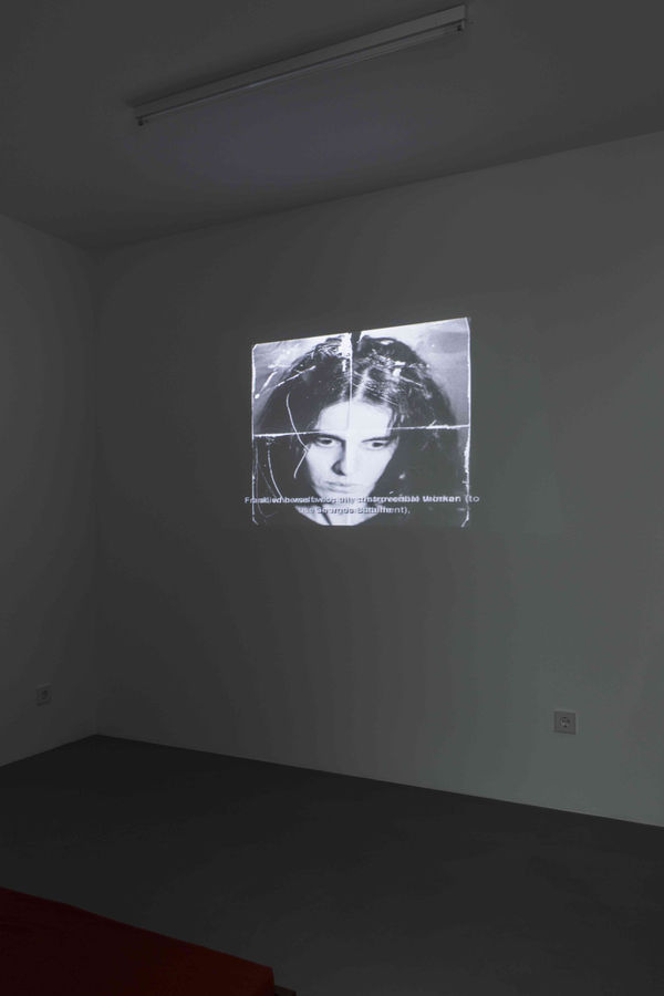 Roee Rosen_justine Frank_erna hecey gallery