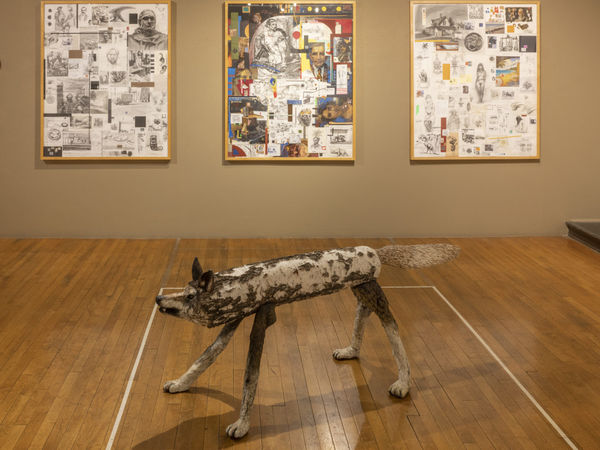 Go Figure, Installation View