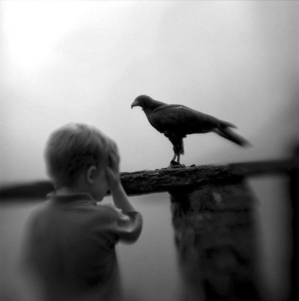 Keith Carter, Boy and Hawk, 2005
