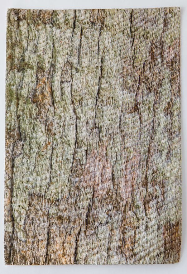 Laurie Lambrecht, Captiva , 2013