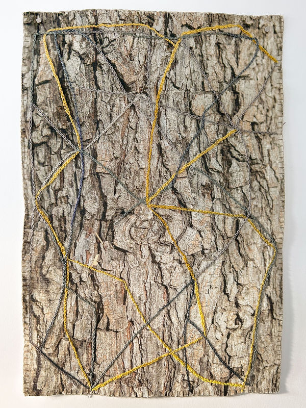 Laurie Lambrecht, Tucson, 2019