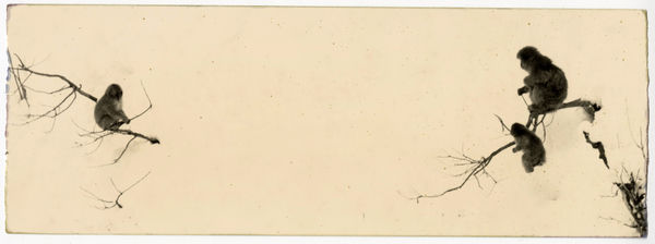 Masao Yamamoto, #1697, from Kawa = Flow, 2021