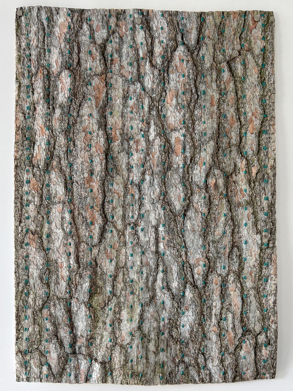 Laurie Lambrecht, Bronx , 2019