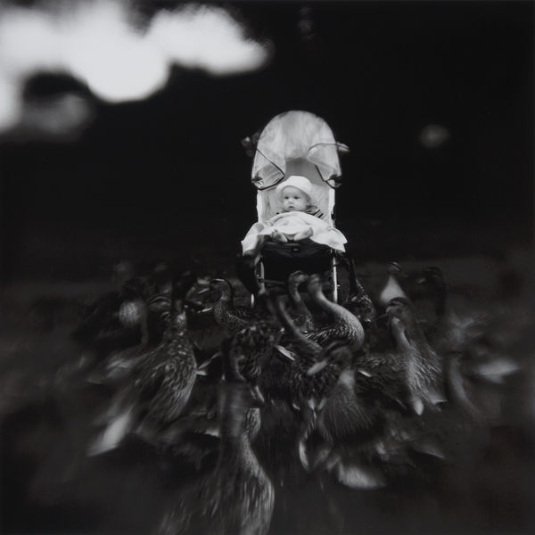 Keith Carter, Pram , 2008