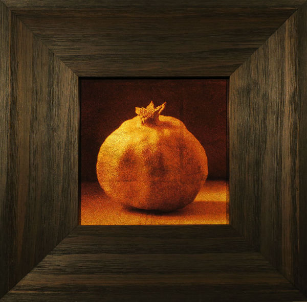 Kate Breakey, Pomegranate, n.d.