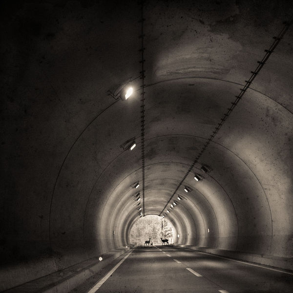 Keith Carter, Tunnel, 2019
