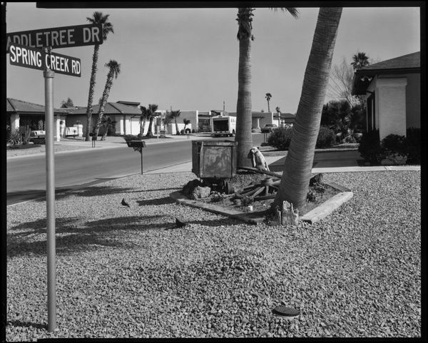 Allen A. Dutton, Sun Lakes, Feb. 1985