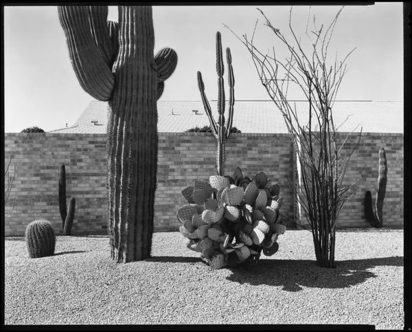 Allen A. Dutton, Sun City, Feb. 1985