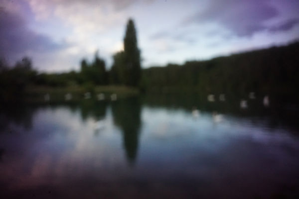 "Schwanensee", July, 2022